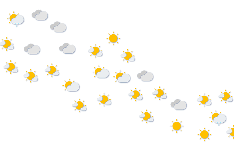 Forecast