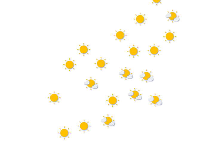 Forecast