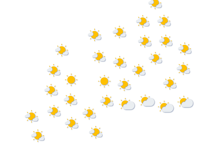 Forecast