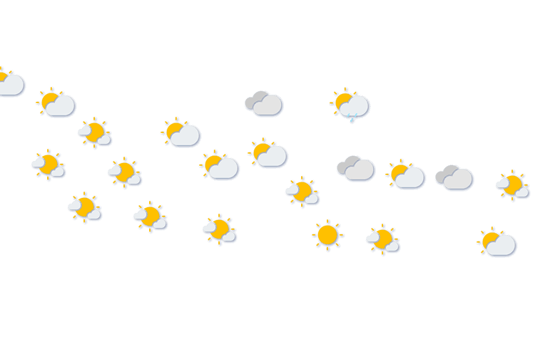 Forecast