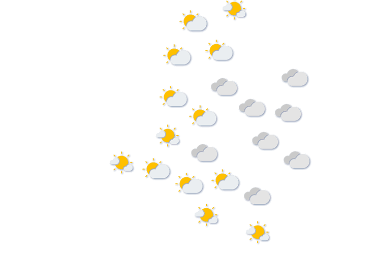 Forecast