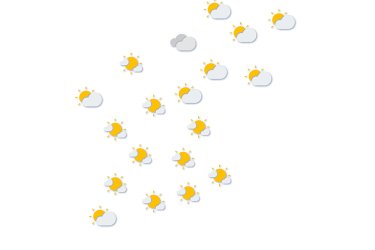 Forecast
