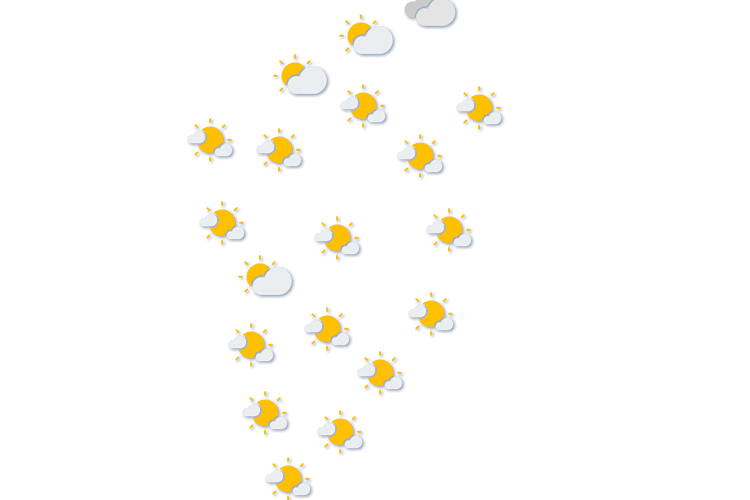 Forecast