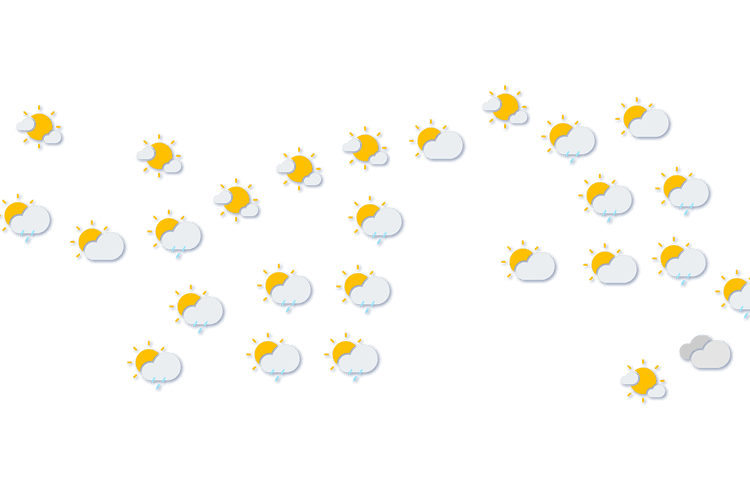 Forecast