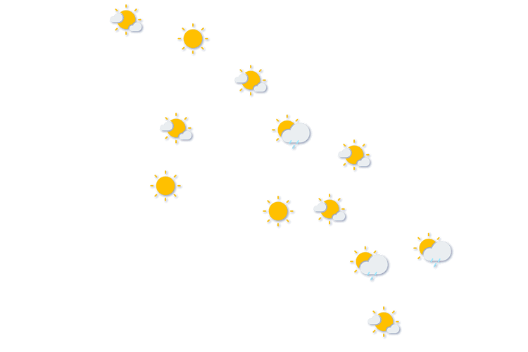 Forecast