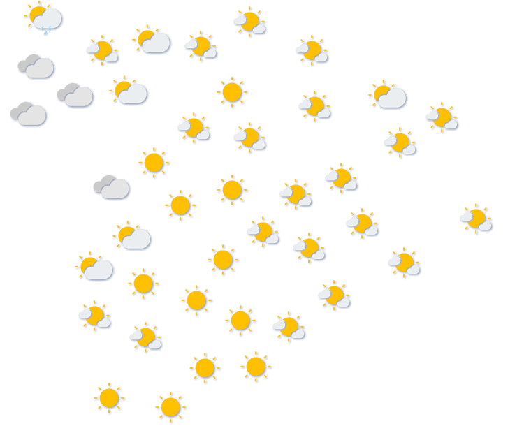 Forecast