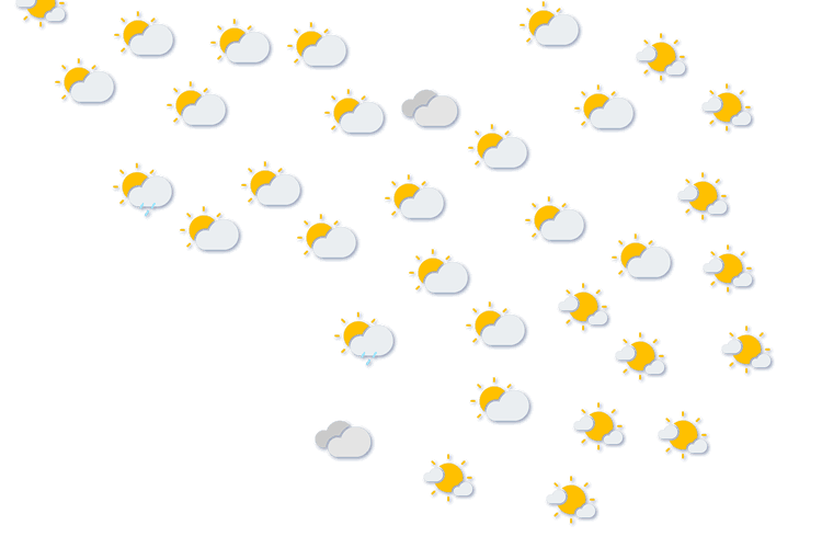Forecast