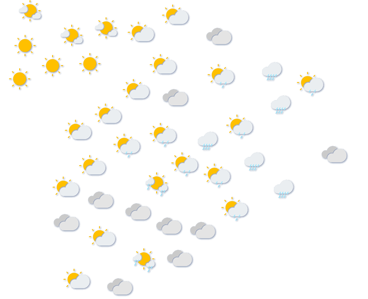 Forecast
