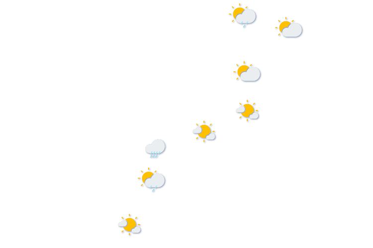 Forecast