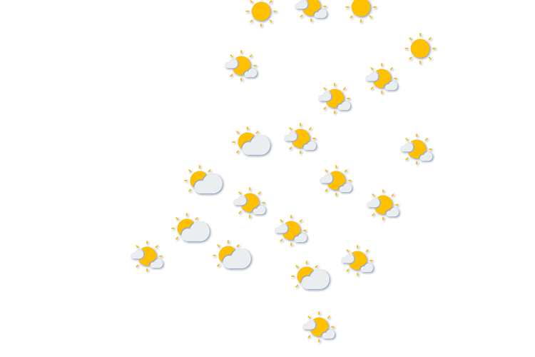 Forecast