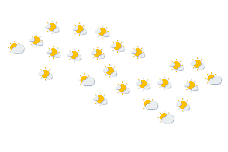 Forecast