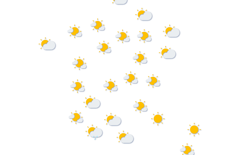 Forecast