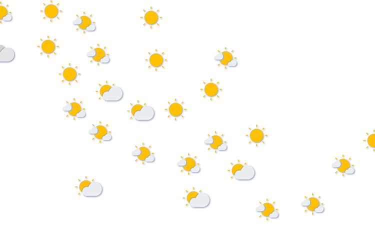 Forecast