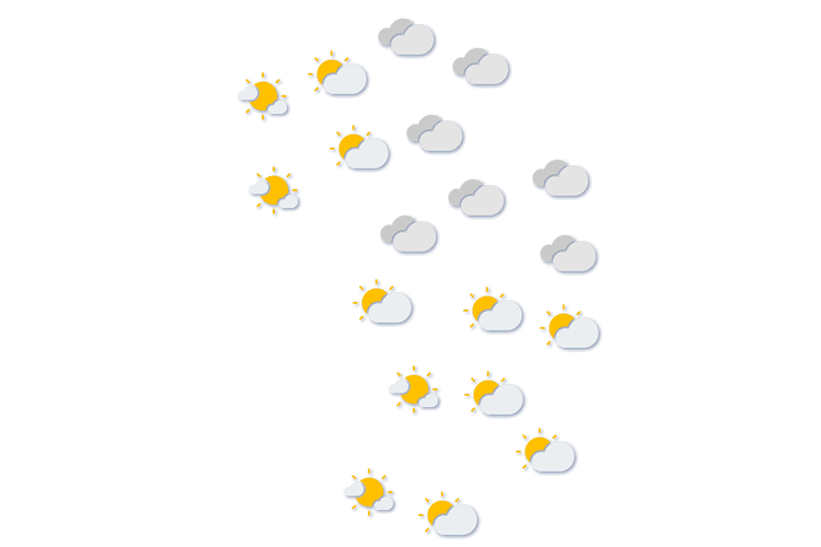 Forecast