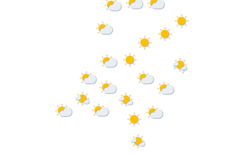 Forecast