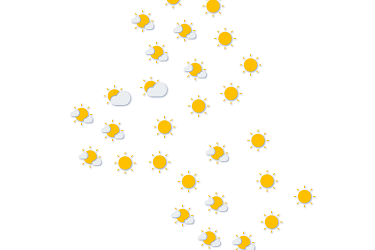 Forecast