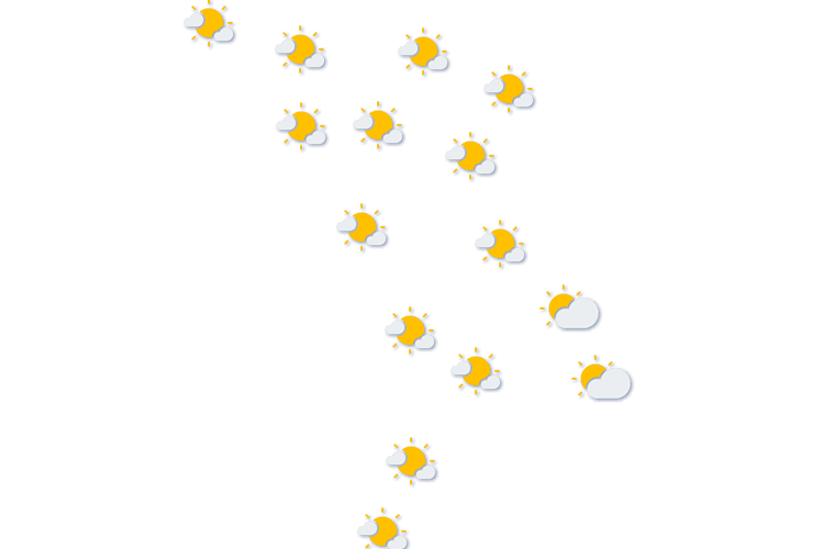 Forecast