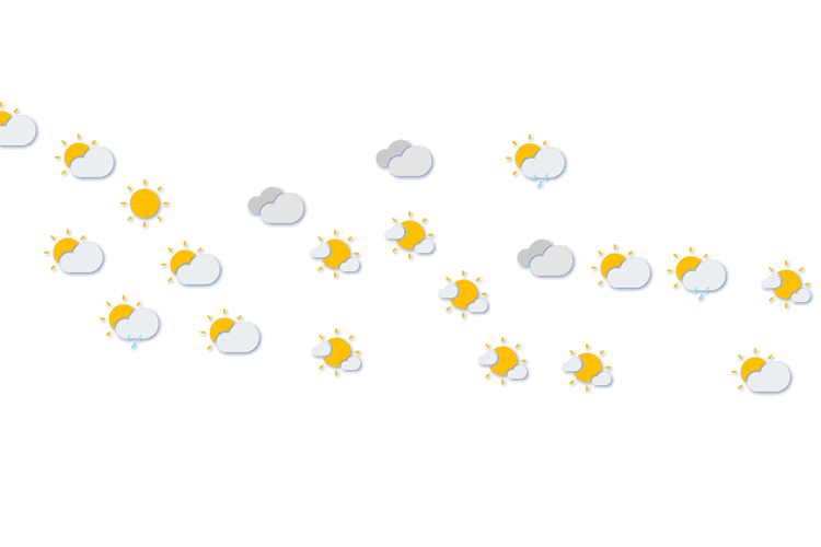 Forecast