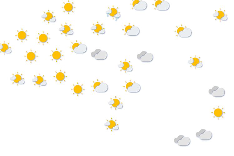 Forecast