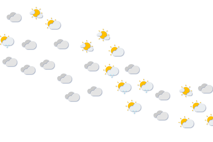 Forecast