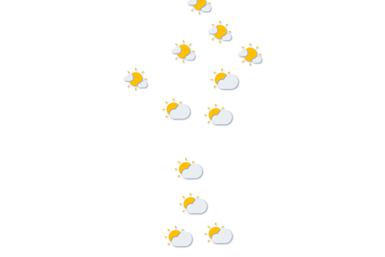 Forecast