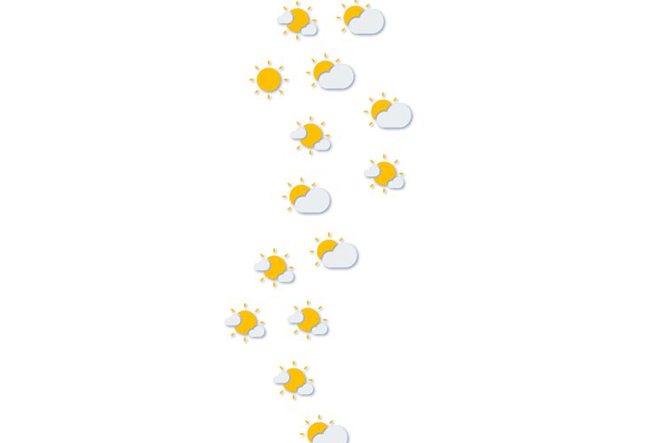 Forecast