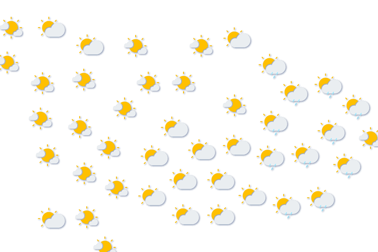 Forecast
