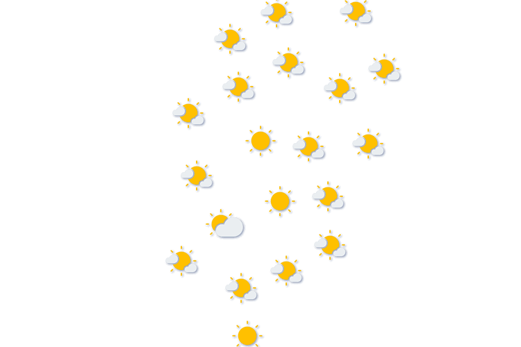 Forecast