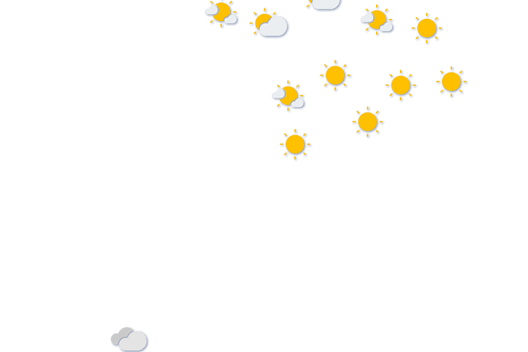 Forecast
