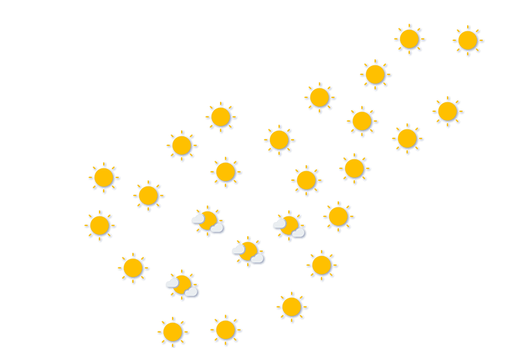 Forecast