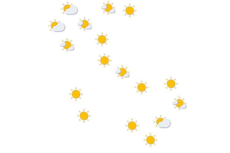 Forecast