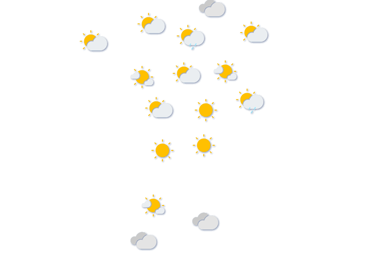 Forecast