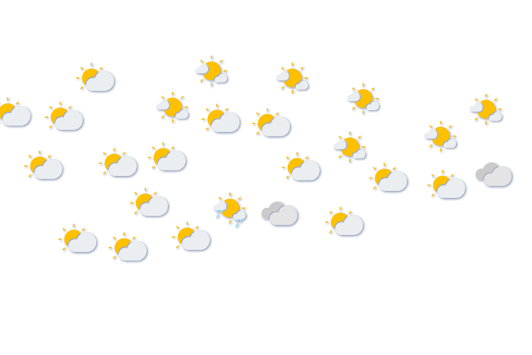 Forecast