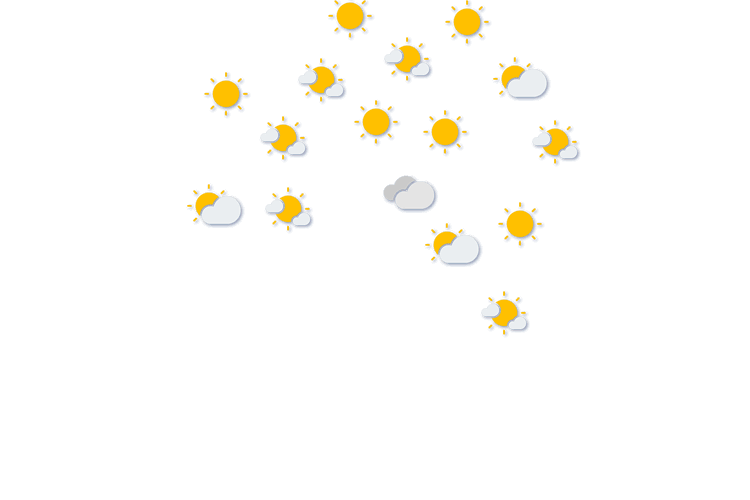 Forecast