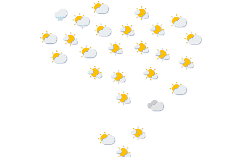 Forecast