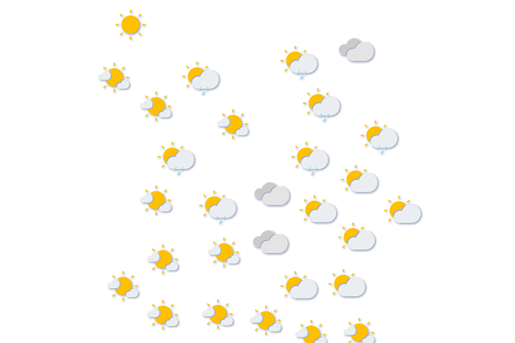 Forecast
