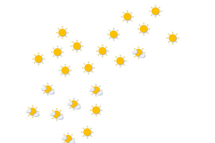 Forecast