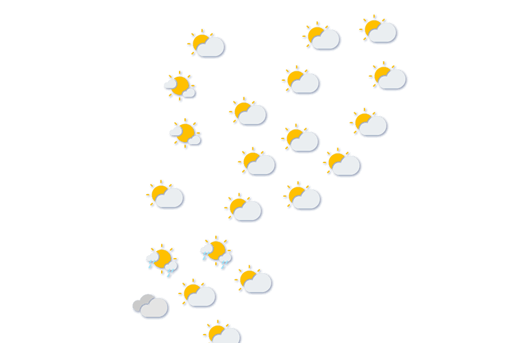 Forecast