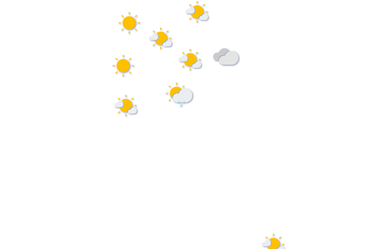 Forecast