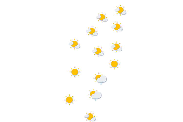 Forecast