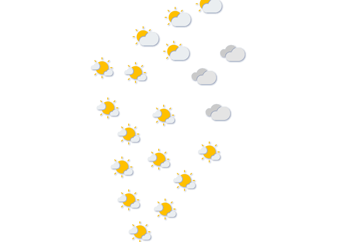 Forecast