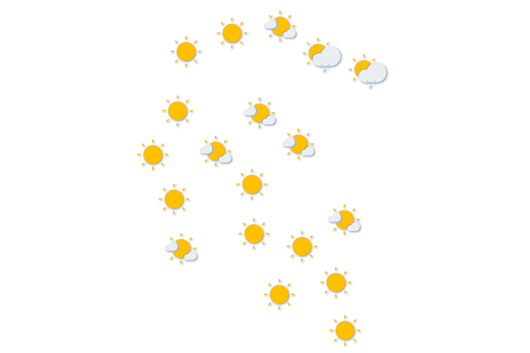 Forecast