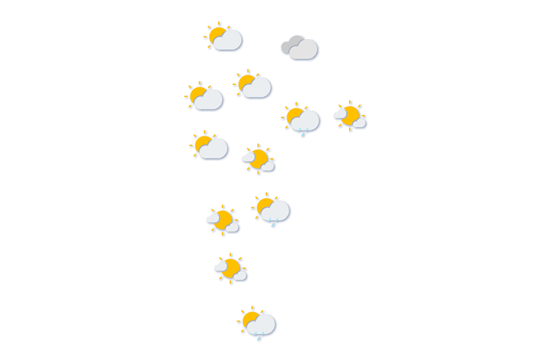 Forecast