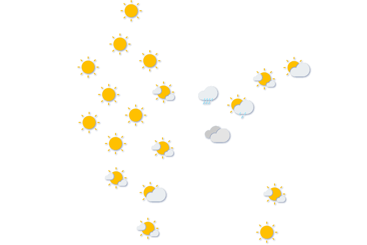 Forecast