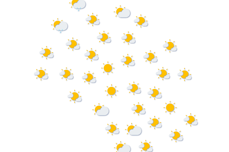Forecast
