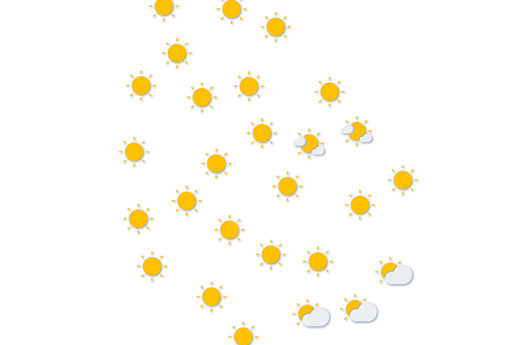 Forecast