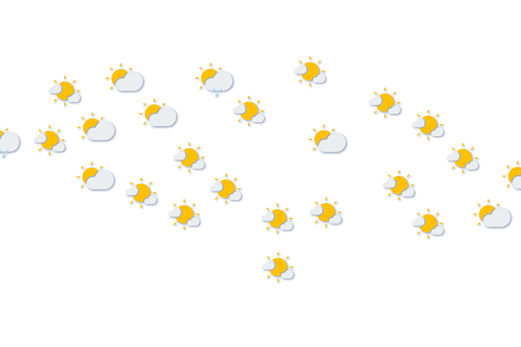 Forecast