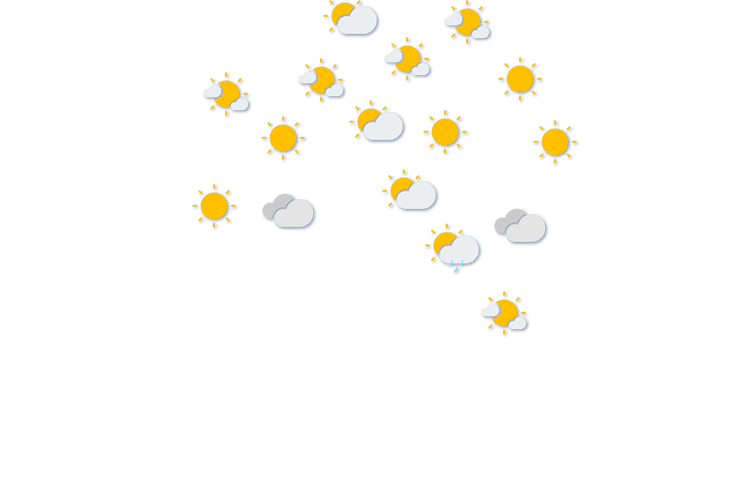Forecast