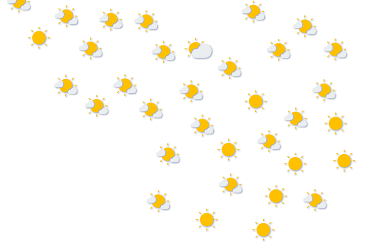 Forecast