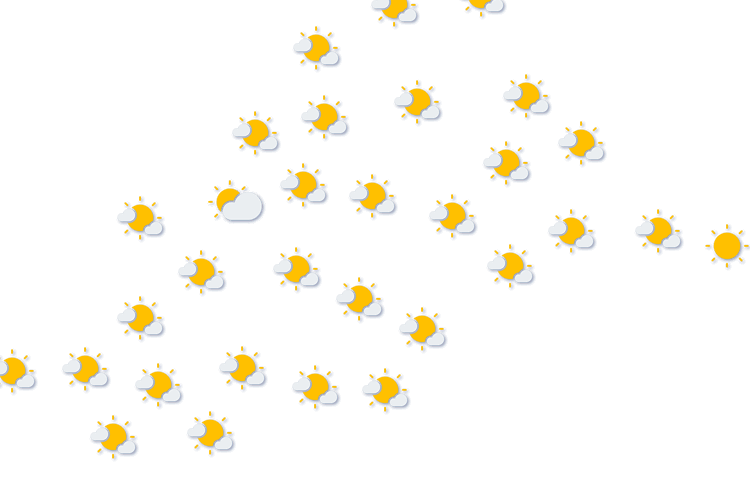Forecast